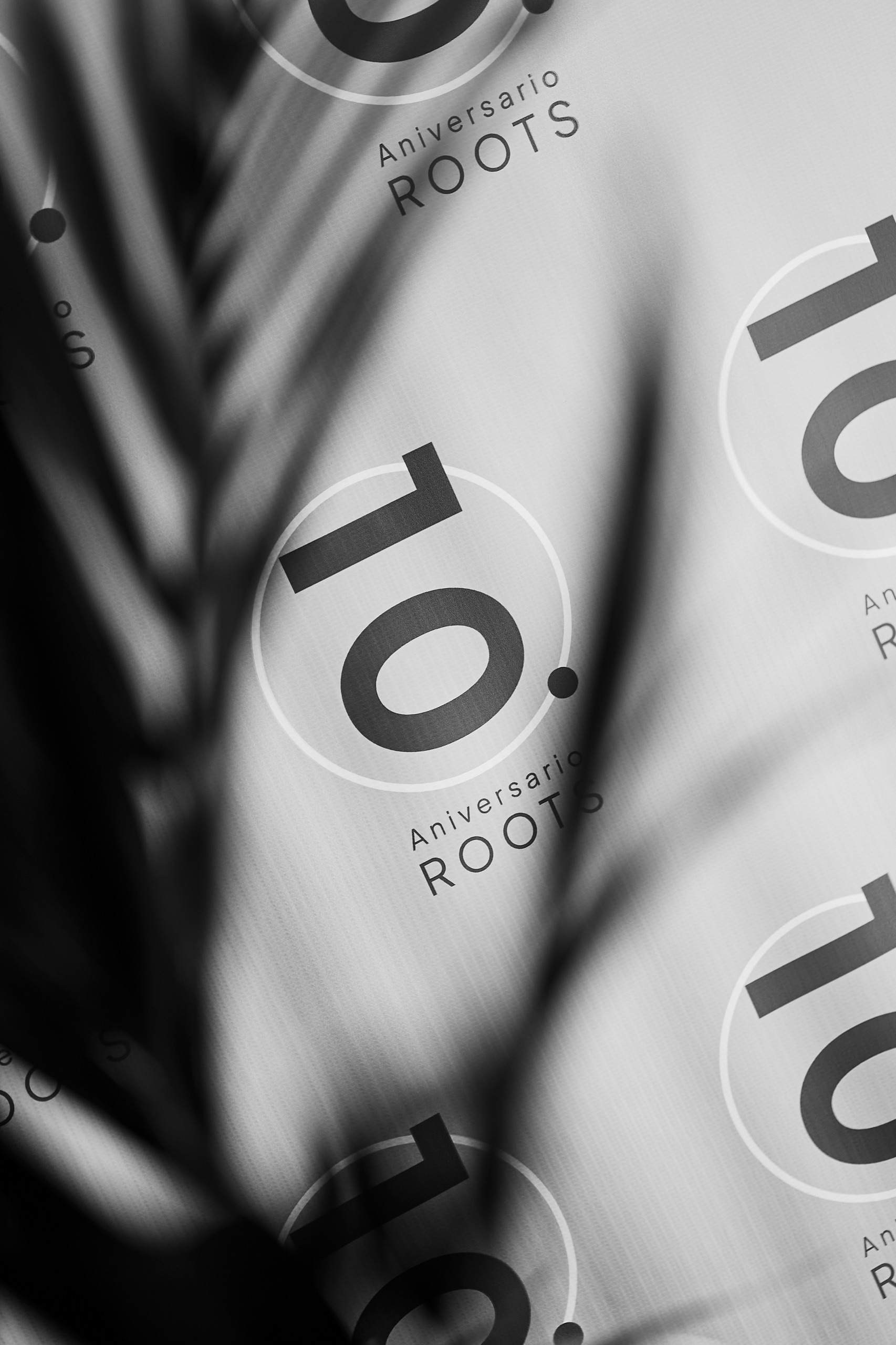 Evento Jodida Gloria - roots-11